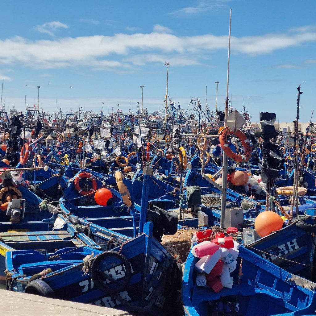 Les belles barques bleues au port d'Essaouira